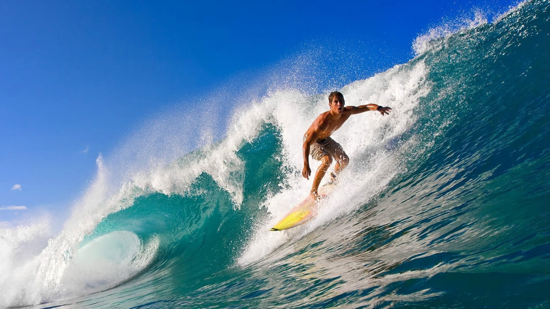 弗拉门戈比赛节奏掌控出色，弗拉门戈比赛视频